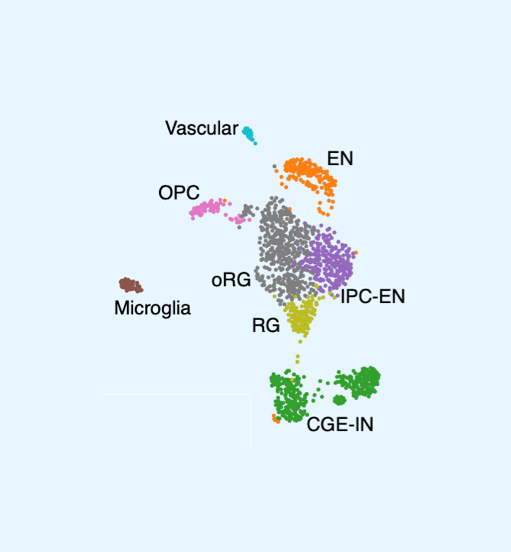 Proteomics data visualization